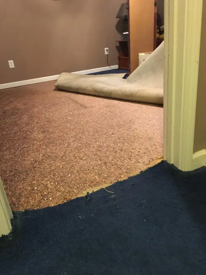 Carpet pad removal revealing water damage during Drying & Dehumidification in North Miami